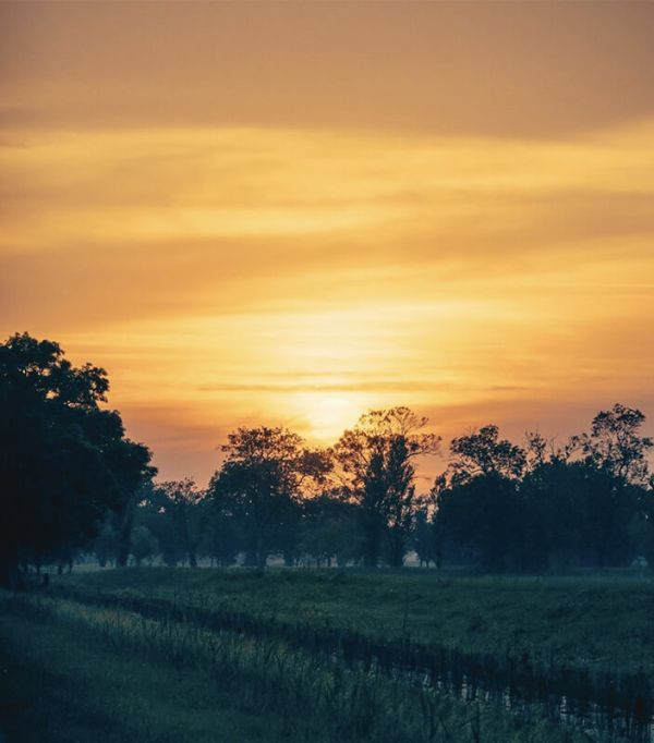 Chateau Rauzan-Ségla