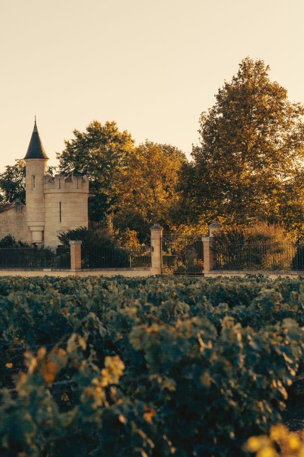 vines-tower-rauzan-segla-primeur-2024-credits-erea-azurmendi-and-federico-reparaz