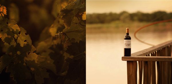 Vin Rauzan-ségla sur le ponton