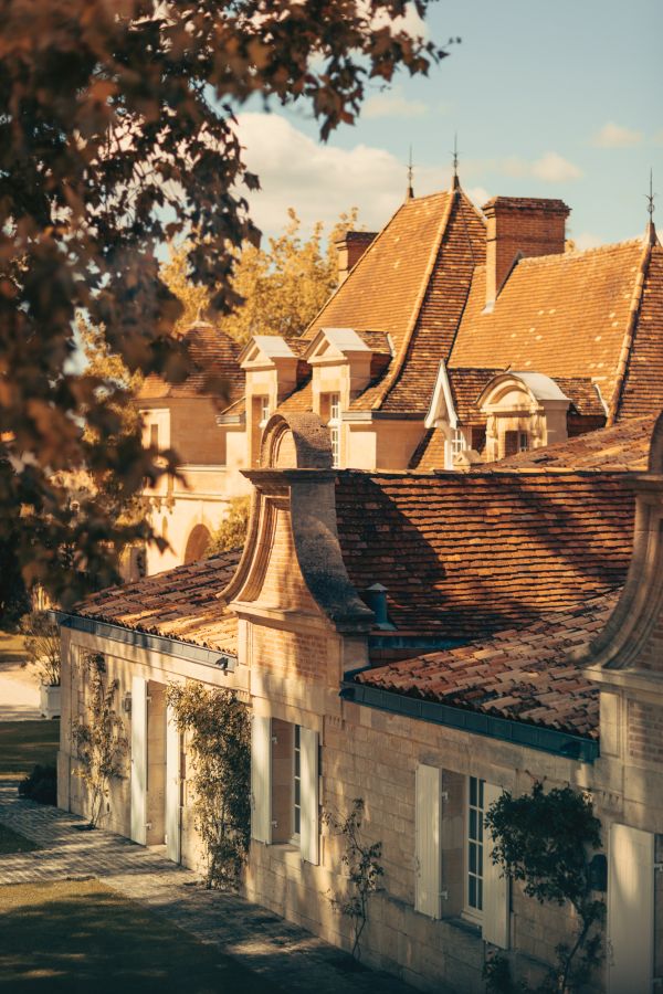 wine-estate-rauzan-segla-primeur-2024-credits-erea-azurmendi-and-federico-reparaz