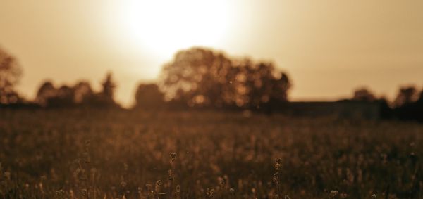 Vue paysage sur les vignes du domaine Rauzan-Ségla